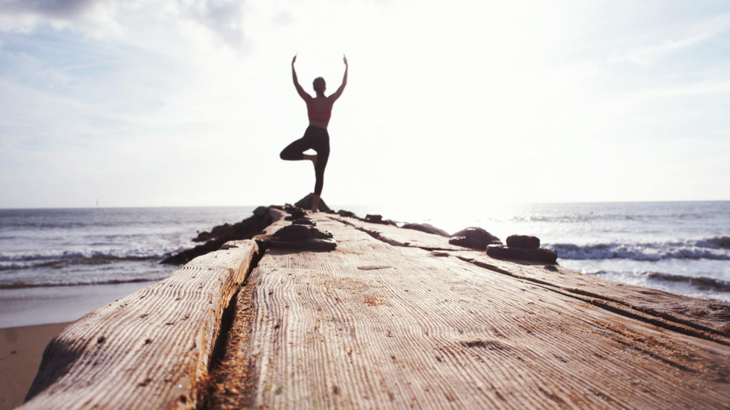 Whealthy Group | Your health is your wealth!