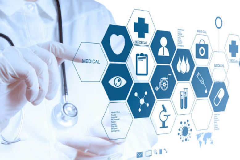 Whealthy Group | Your health is your wealth!
