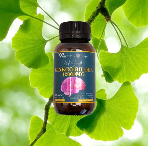 WHealthy Living High Strength Ginkgo Biloba 12000mg 60 Capsules (AUST L 462250) Made in Australia Vegan